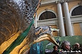 VBS_1048 - Dinosauri. Terra dei giganti